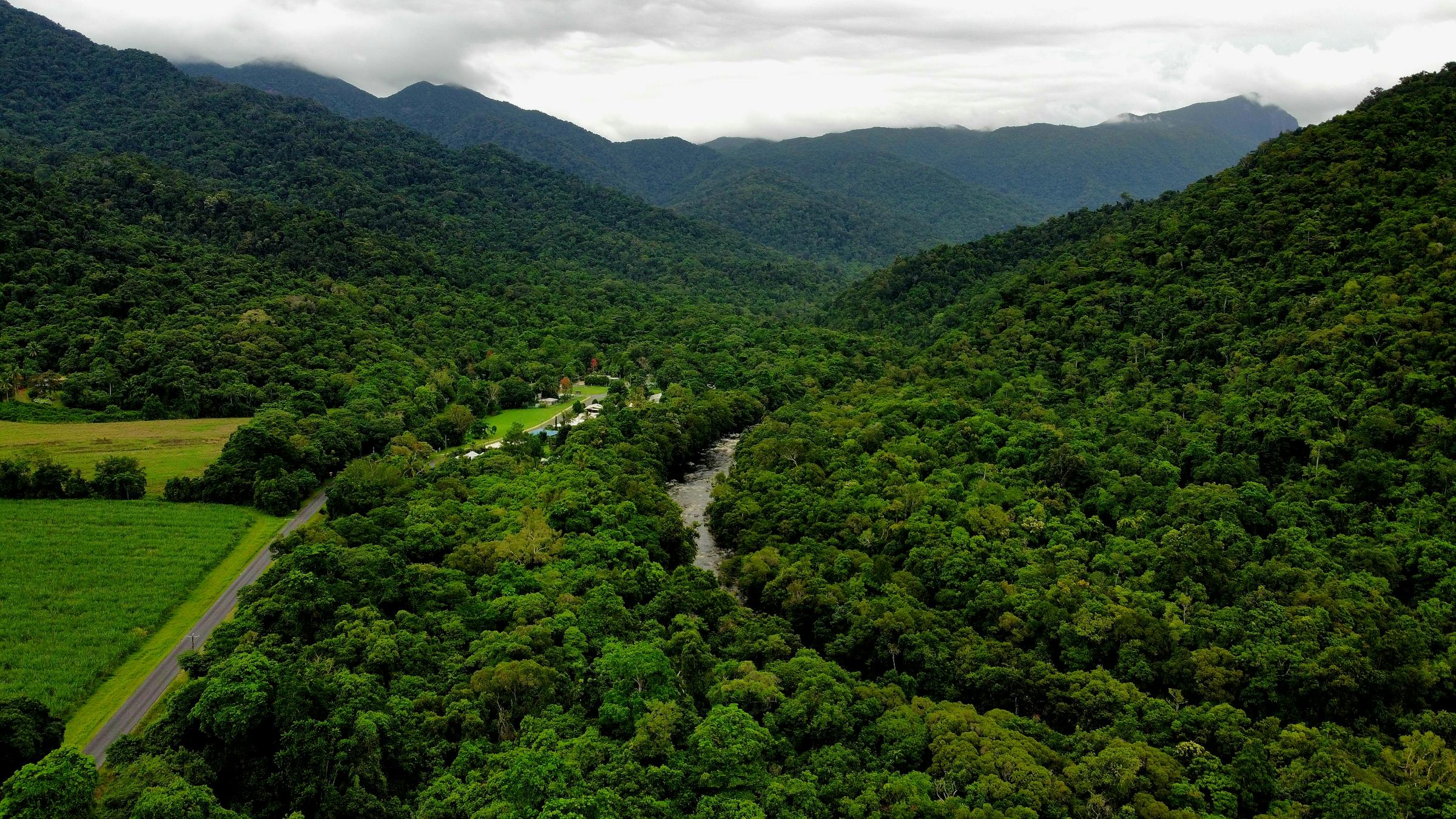 Lush Cairns rainforest with winding river, south east Queensland landscape