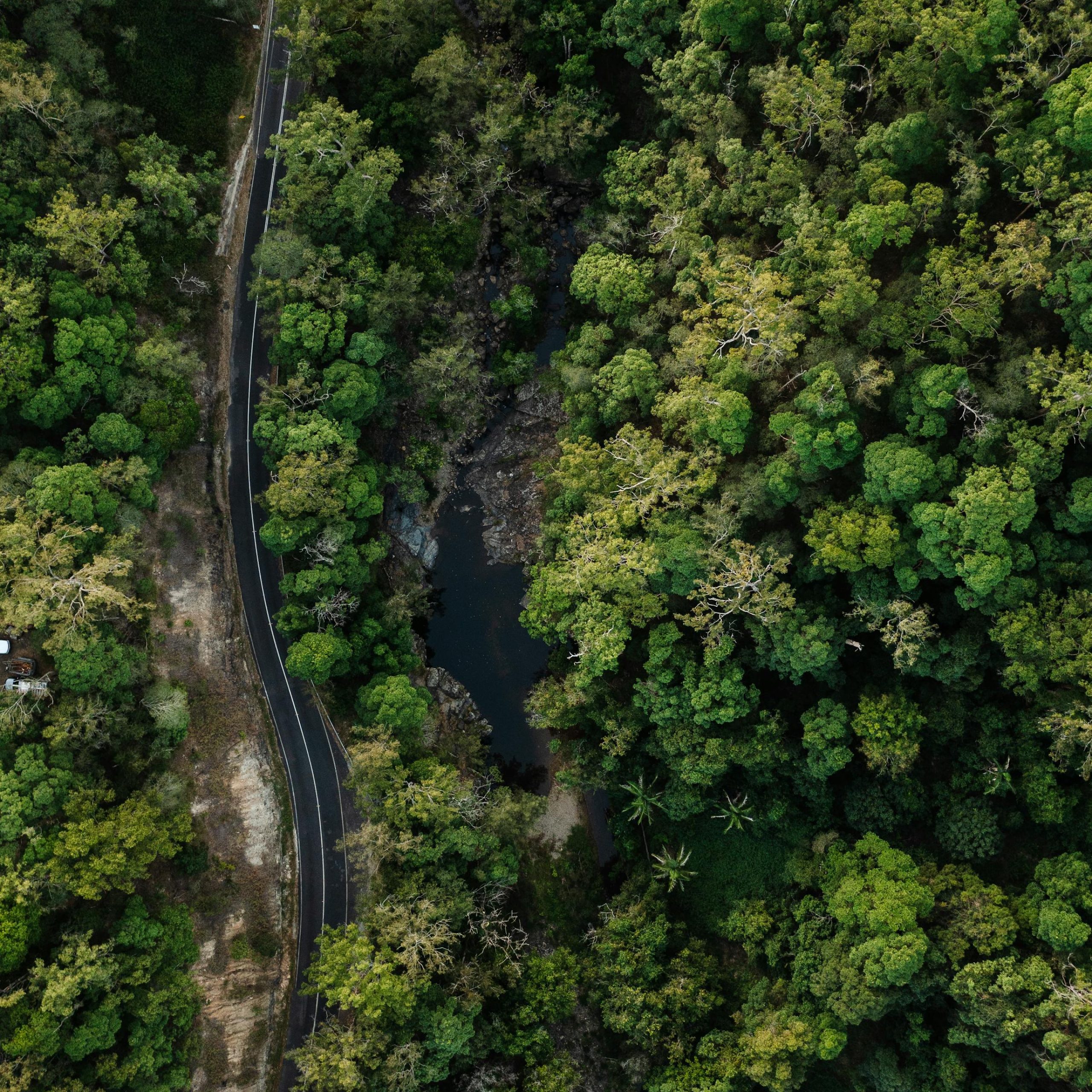 Aerial view of winding road through lush Cedar Creek forest in Queensland