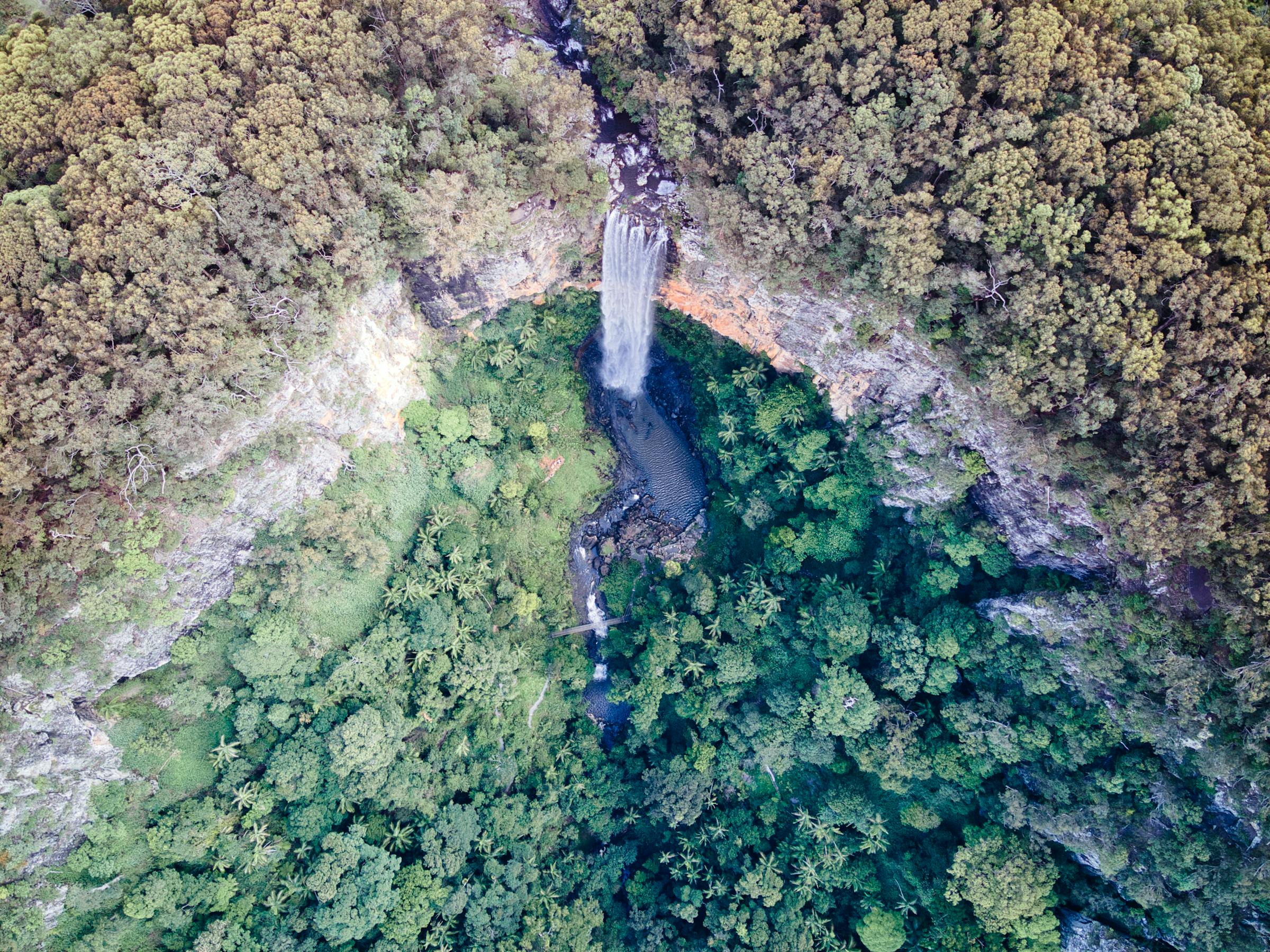 Stunning aerial view of waterfall and lush forest in Springbrook, Queensland