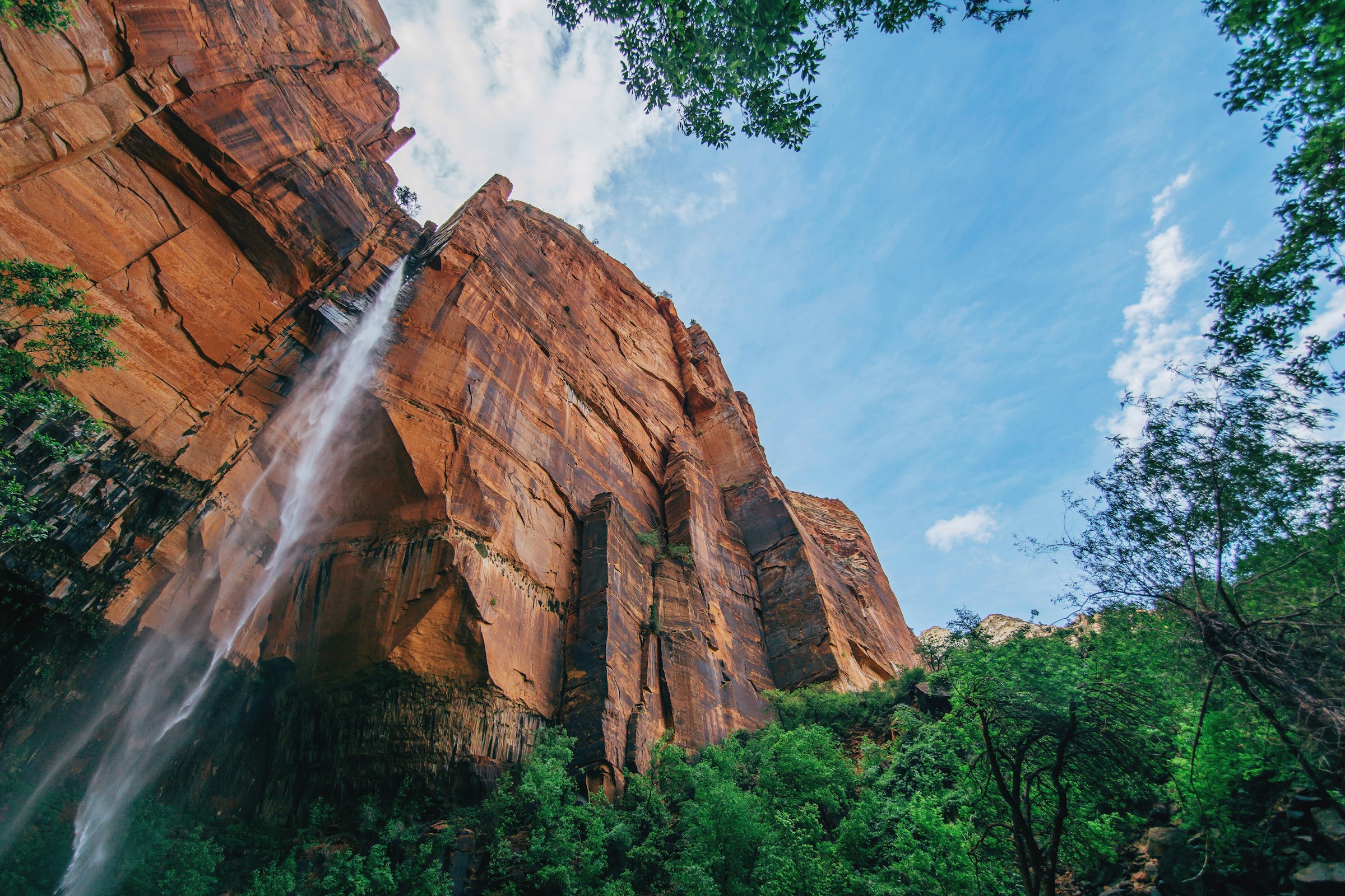 Vertical canyon cliff with thin waterfall ribbon, framed by green foliage