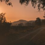 Quiet Australian outback road at dusk with eucalypts framing distant mountains under a warm pink sky.