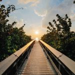 Wooden boardwalk leading through coastal greenery to the sea at sunrise
