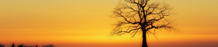 What Happens to an Inheritance in Australia | Great Advice
